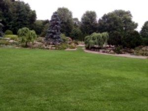 lawn in front of garden