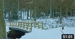wood bridge snow forest