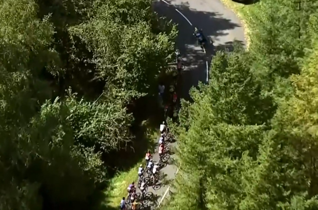 Paved road with cyclists between green trees from above